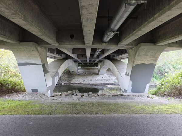 A fun view under a bridge